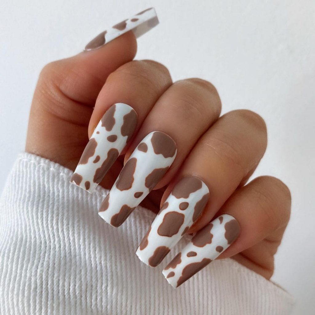 Chocolate And White Cow Nail Accents 