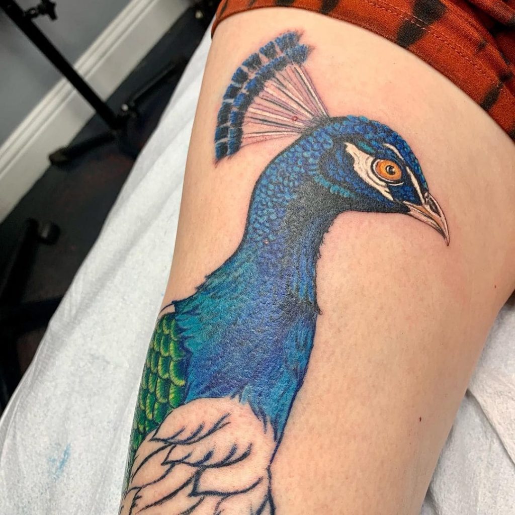 Peacock Tattoo