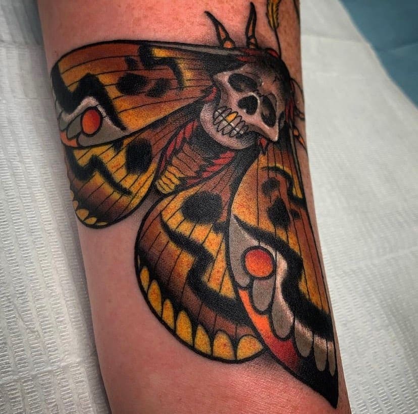 Moth Skull Tattoo 