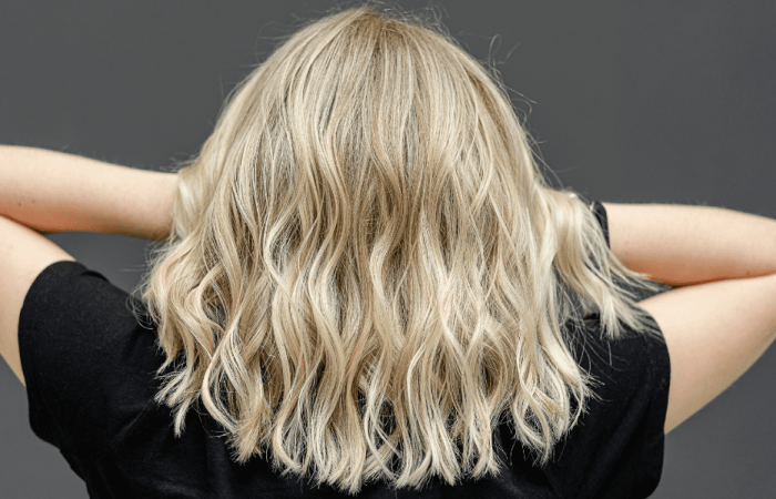 Brown Hair With Blonde Highlights